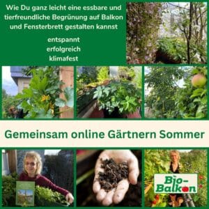 Mockup vom Online-Format: Gemeinsam online gärtnern Sommer