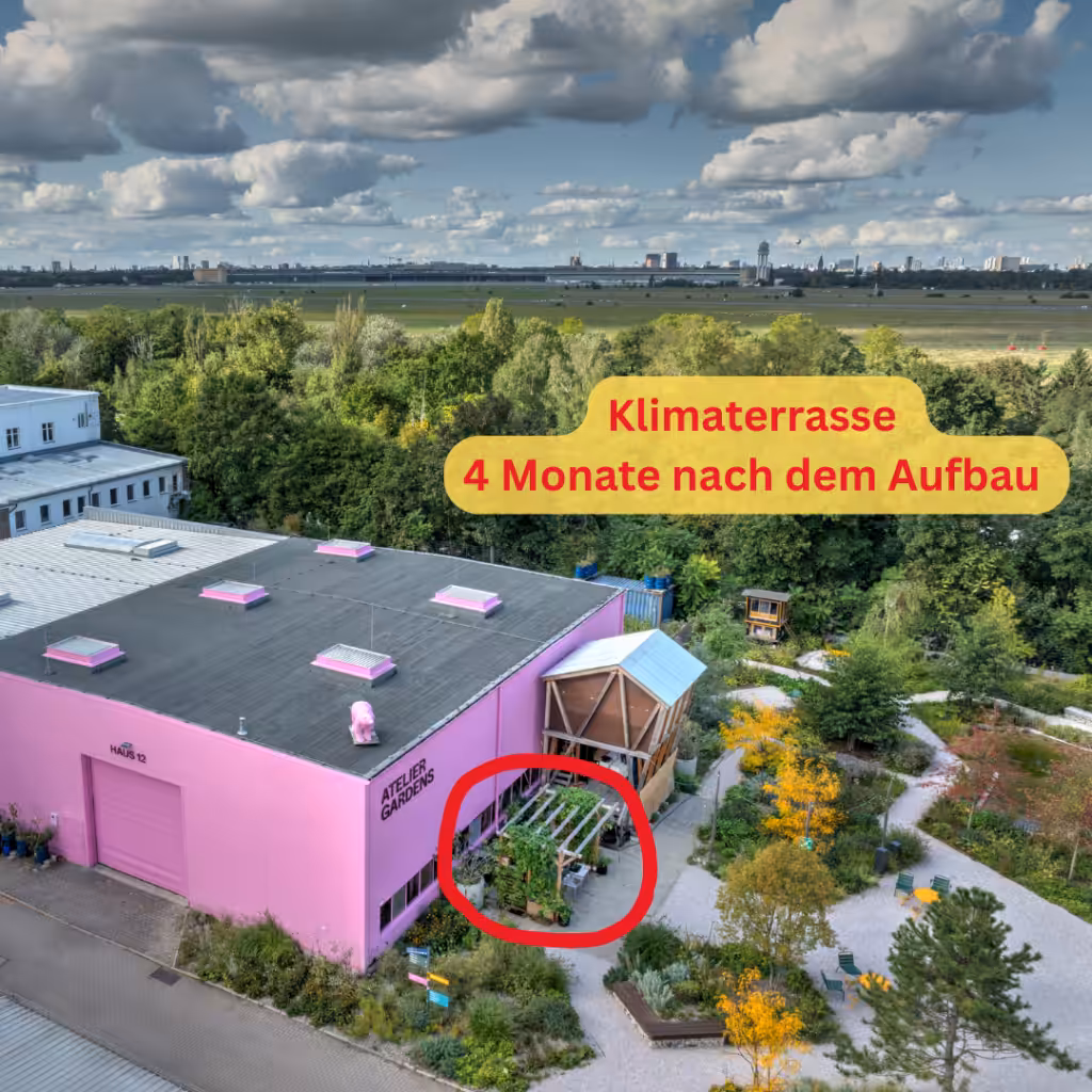Klimaterrasse der Balkonschule Berline - aufgenommen von oben mit einer Drohne