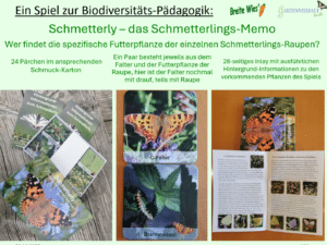 Übersicht der Spiele zur Förderung von Biodiversität von Biodiversitätsexperin Christiane Denzel