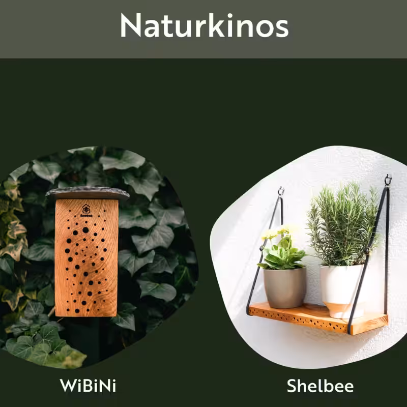 Insektennisthilfen flowbee Florian Wester