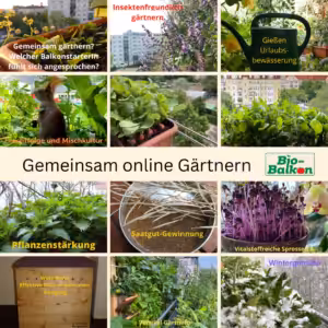 Gemeinsam online Gärtnern - Angebot von Bio-Balkon Birgit Schattling