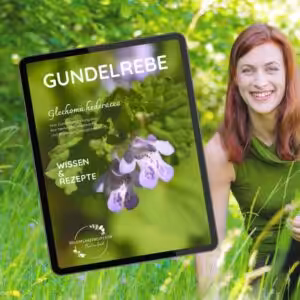 E-Book zur Gundelrebe Gundermann von der Wildpflanzenexpertin Christiane Grasl