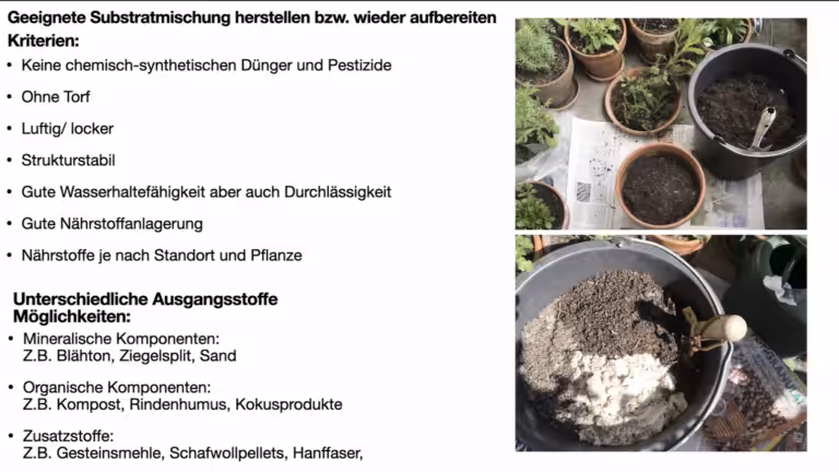 Substrate und Substratmischungen für heimische Wildpflanzen Stefanie Binder