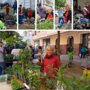 Workshops in Präsenz mit der Balkonexpertin Birgit Schattling