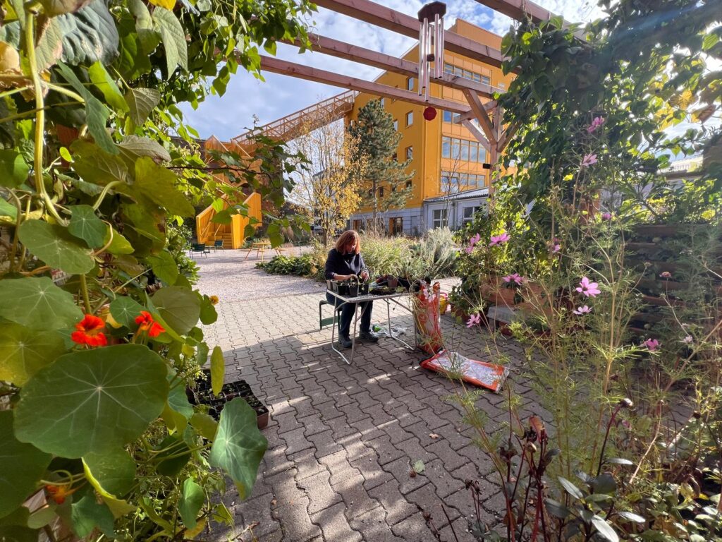 Aussaat durch Gaby in der Klimaterrasse der Balkonschule Berlin