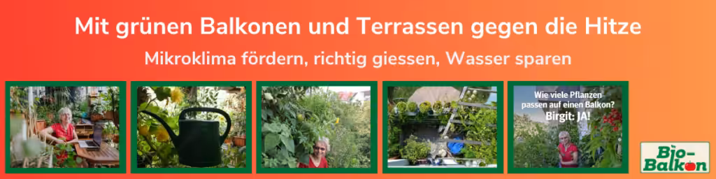 Mit grünen Balkonen und Terrassen gegen die Hitze