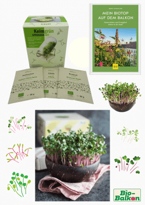 Gewinnspiel buch grow-grow nut transparent (3)